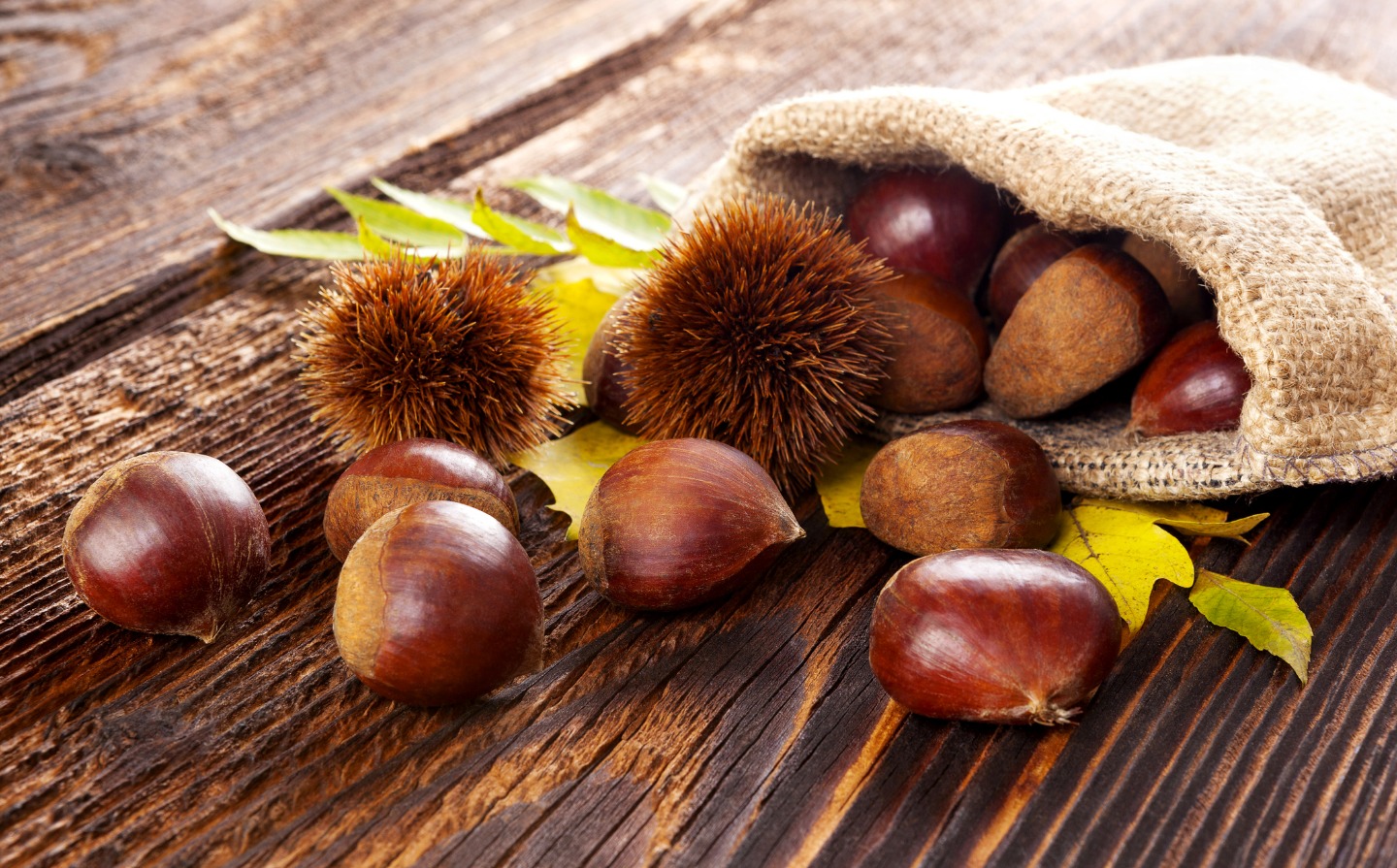 12 búlgaros detidos no concelho de Vinhais por furto de castanhas