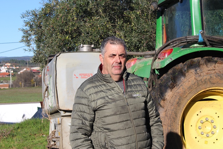 Agricultores queixam-se de furto de azeitona