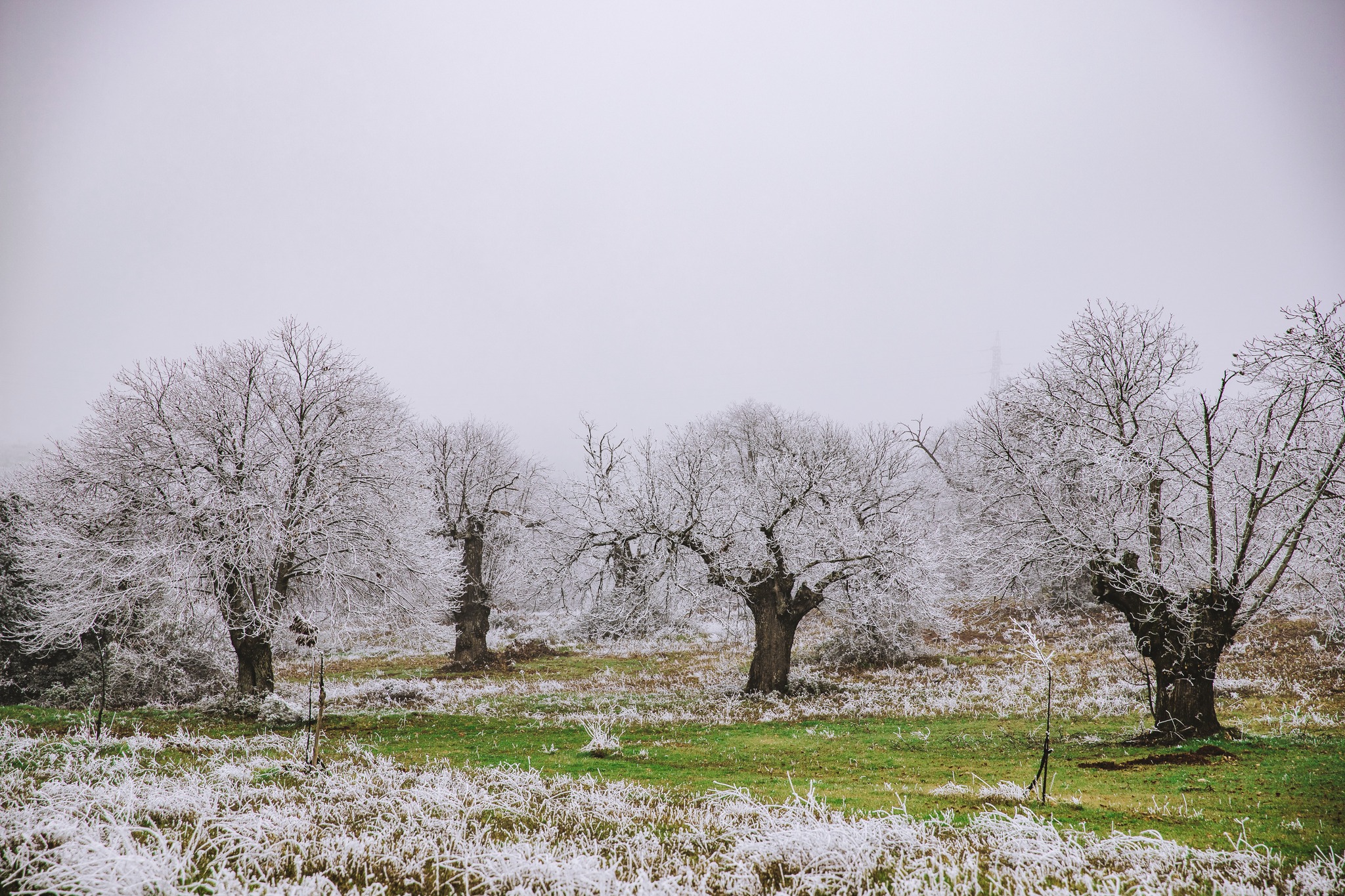 Massa de ar polar traz temperaturas negativas à região