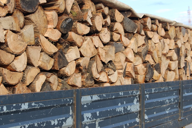 Preço de pellets desceu mas ainda há quem prefira a lenha