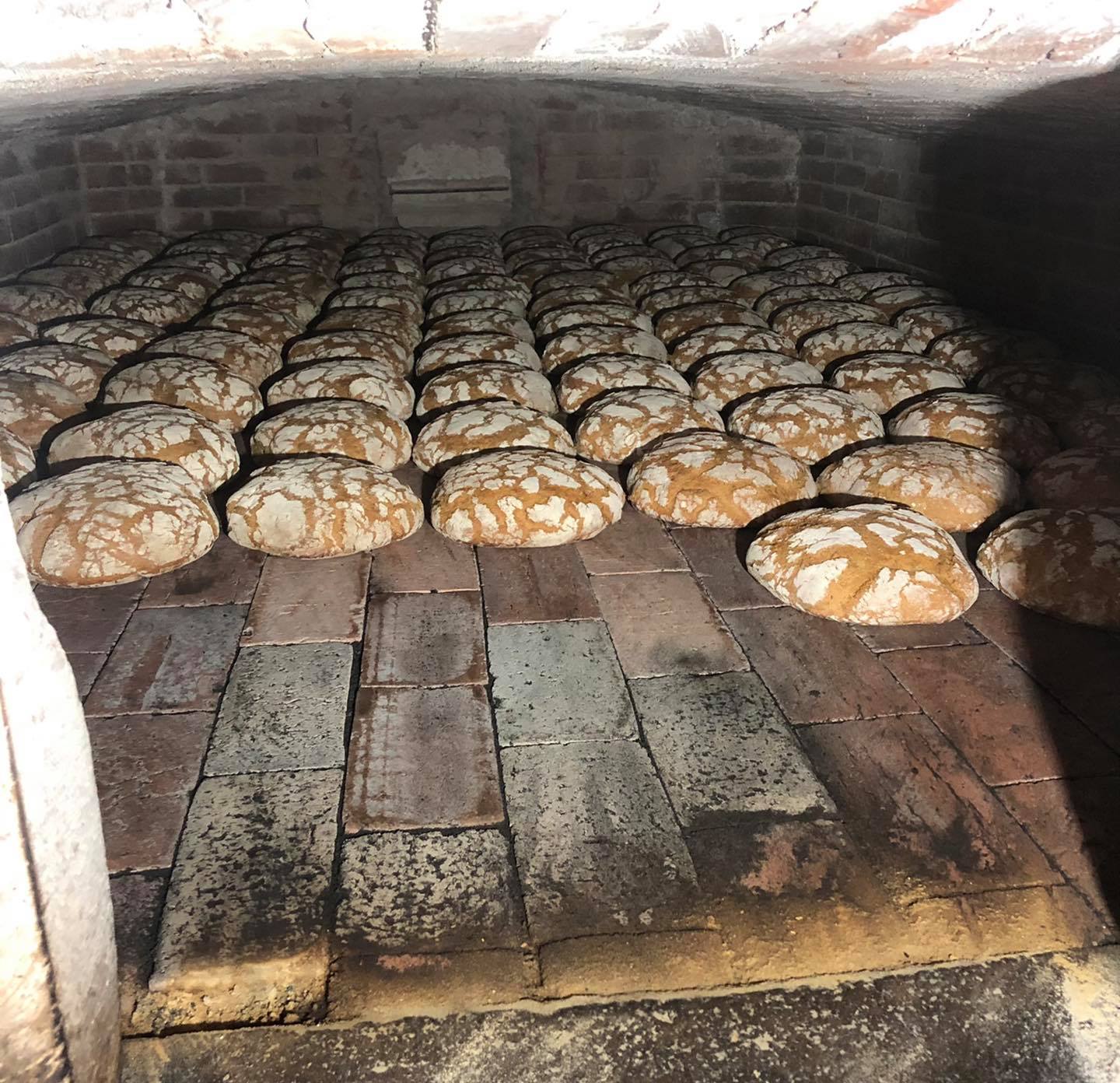 Preço do pão voltou a subir