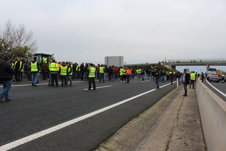 Depois de cortarem A4 agricultores estão reunidos com ministra da Agricultura via online para negociações