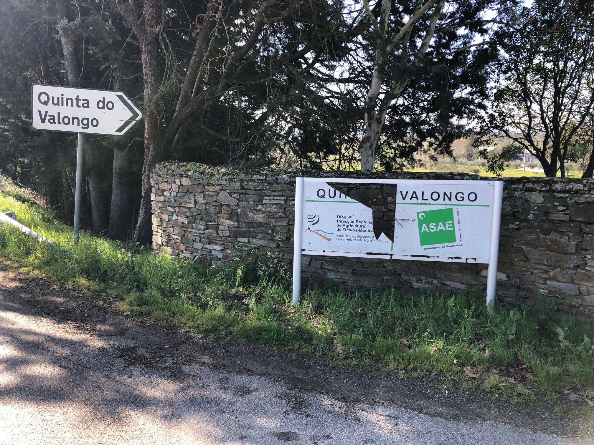 Delegação de Mirandela da ASAE vai mudar de instalações mas continua naquela cidade