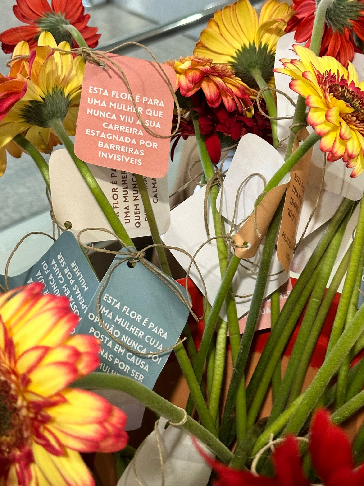 Dia Internacional da Mulher assinalado em Bragança com acção para mostrar que ainda há um caminho longo por percorrer