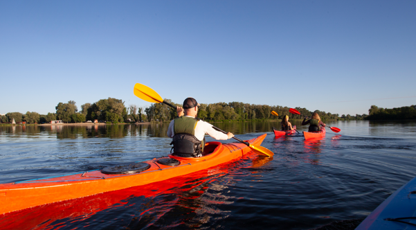 Canoagem: São esperados cerca de 1200 atletas para o Campeonato Nacional de Fundo de Canoagem em Mirandela