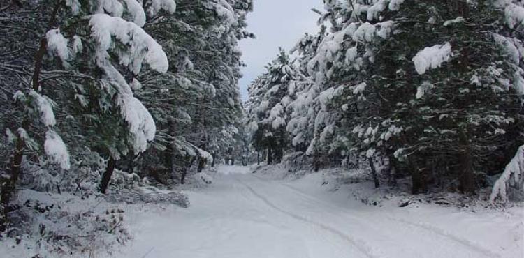 Queda de neve prevista para o distrito de Bragança
