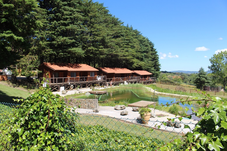 Nove produtos e lugares do distrito recebem Prémio Cinco Estrelas Regiões