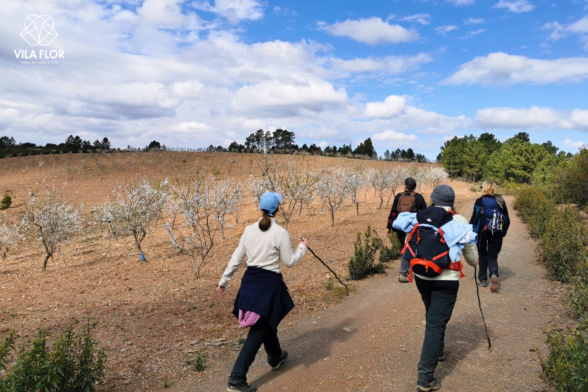Quatro municípios do distrito integram Caminho de Santiago Leon de Rosmithal