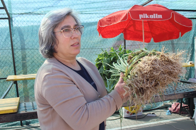 Feira do Cebolo de Alfaião atraiu compradores e obrigou a reposição de stock