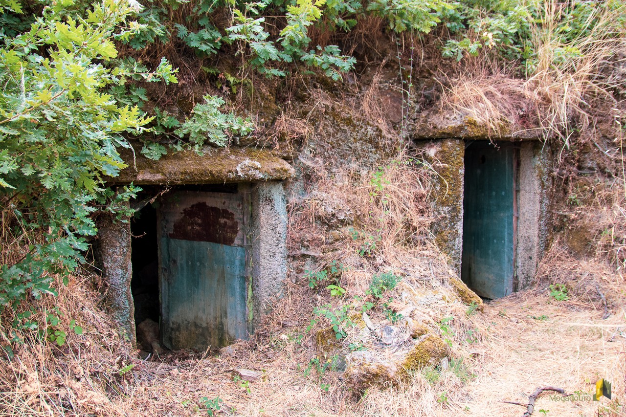 Câmara de Mogadouro quer recuperar adegas subterrâneas de Urrós e criar rota para atrais visitantes