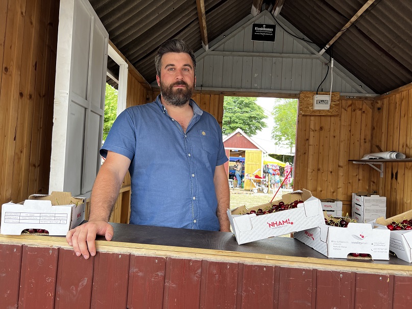 Produtores de cereja queixam-se de quebras significativas na festa que é dedicada ao fruto em Alfândega da Fé