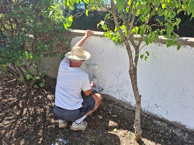Jovens belgas voluntários requalificam espaços rurais no Parque Natural de Montesinho