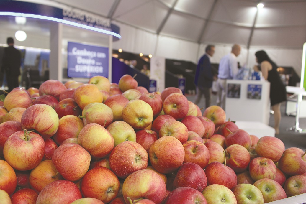 Carrazeda de Ansiães vai receber Feira da Maçã, do Vinho e do Azeite ao longo de quatro dias