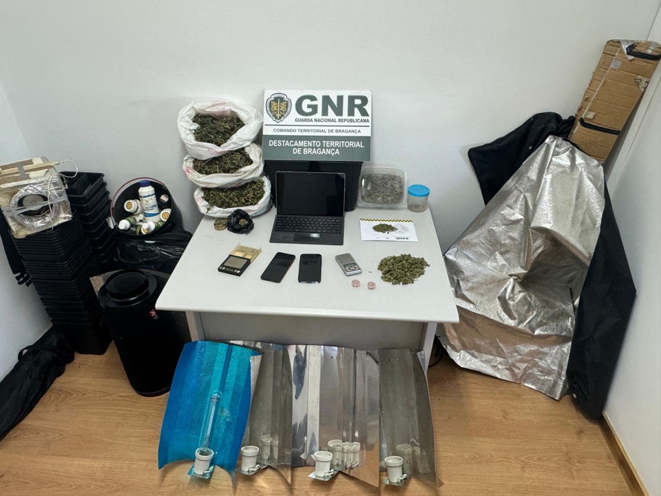 Dois homens detidos e uma mulher constituída arguida por tráfico de droga em Macedo de Cavaleiros e Chaves