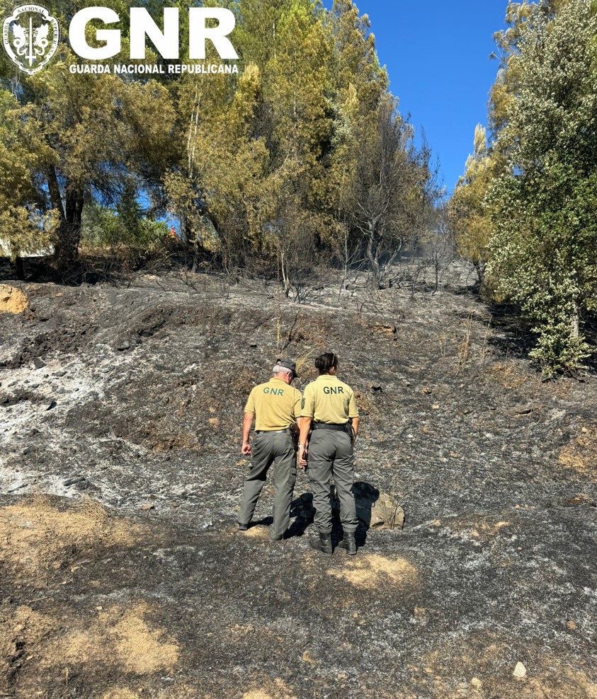 Homem constituído arguido por incêndio florestal em Marzagão