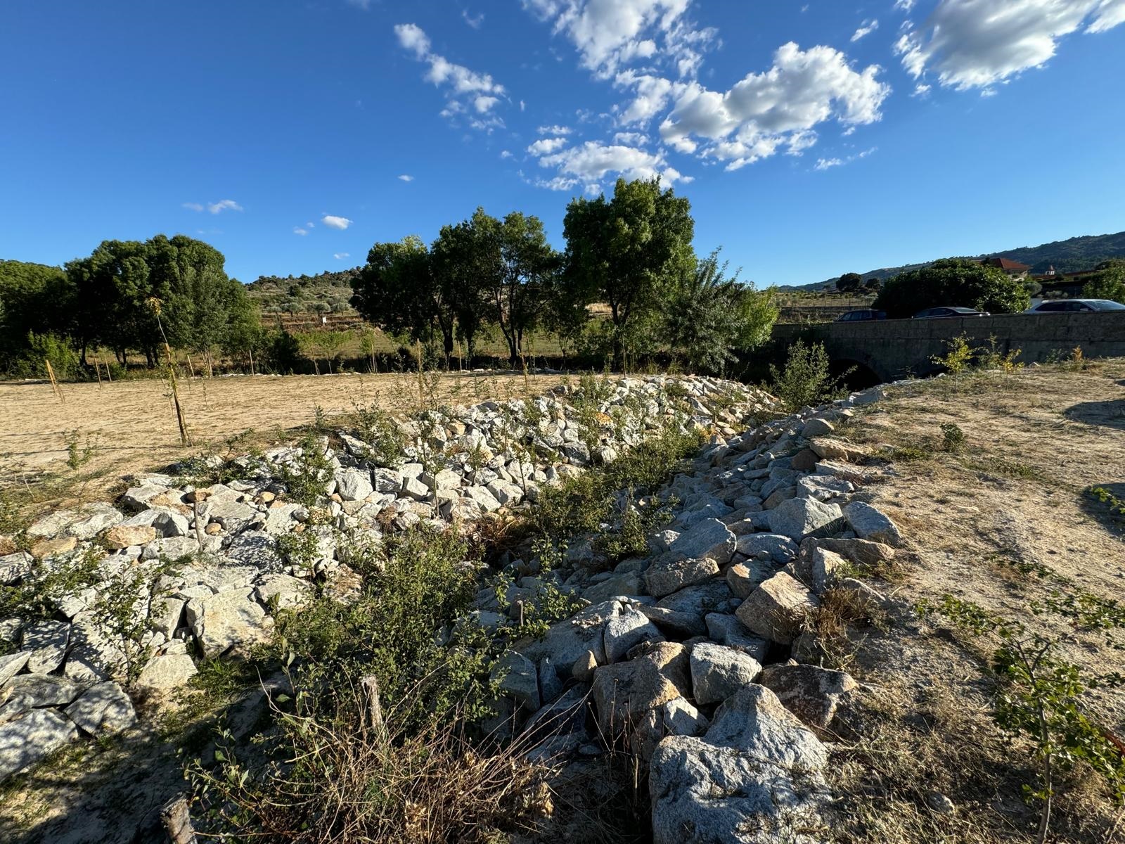 Ribeira de Freixiel foi recuperada e pode vir a ter sapadores de rios