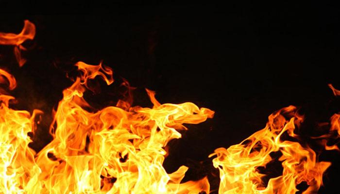 Ardeu mato esta tarde em Argozelo