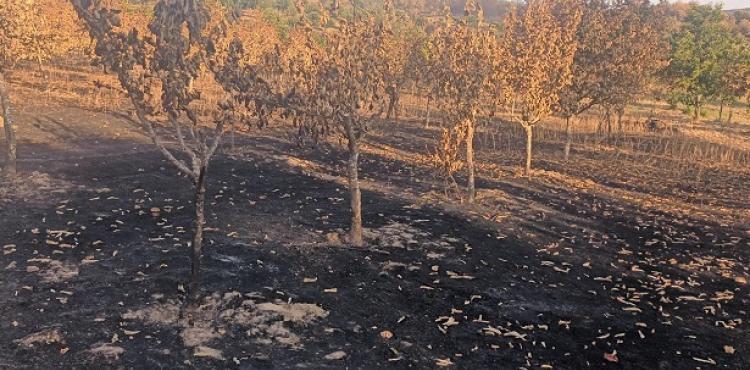 Secretário de Estado das Florestas está na região para visitar as áreas afectadas pelos incêndios