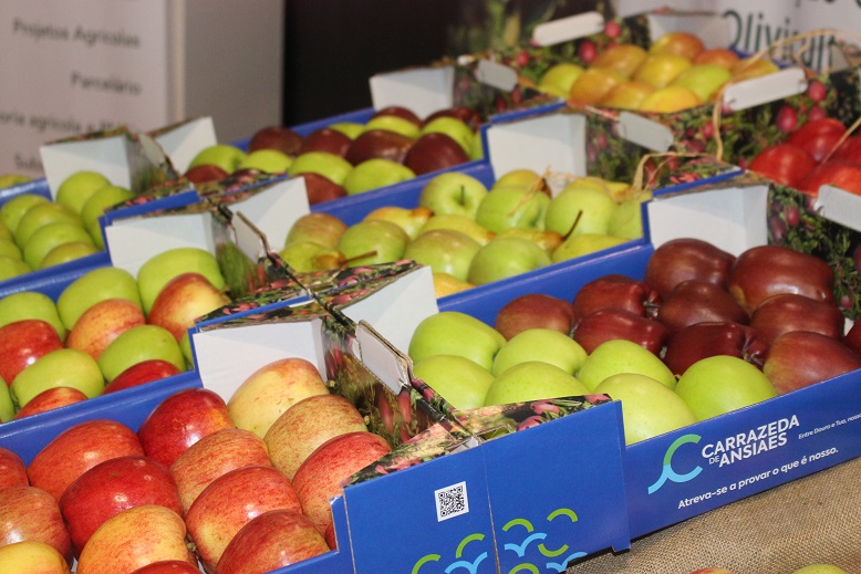 Chuva ajudou na produção de maçã de Carrazeda de Ansiães: esperadas quase 30 mil toneladas do fruto