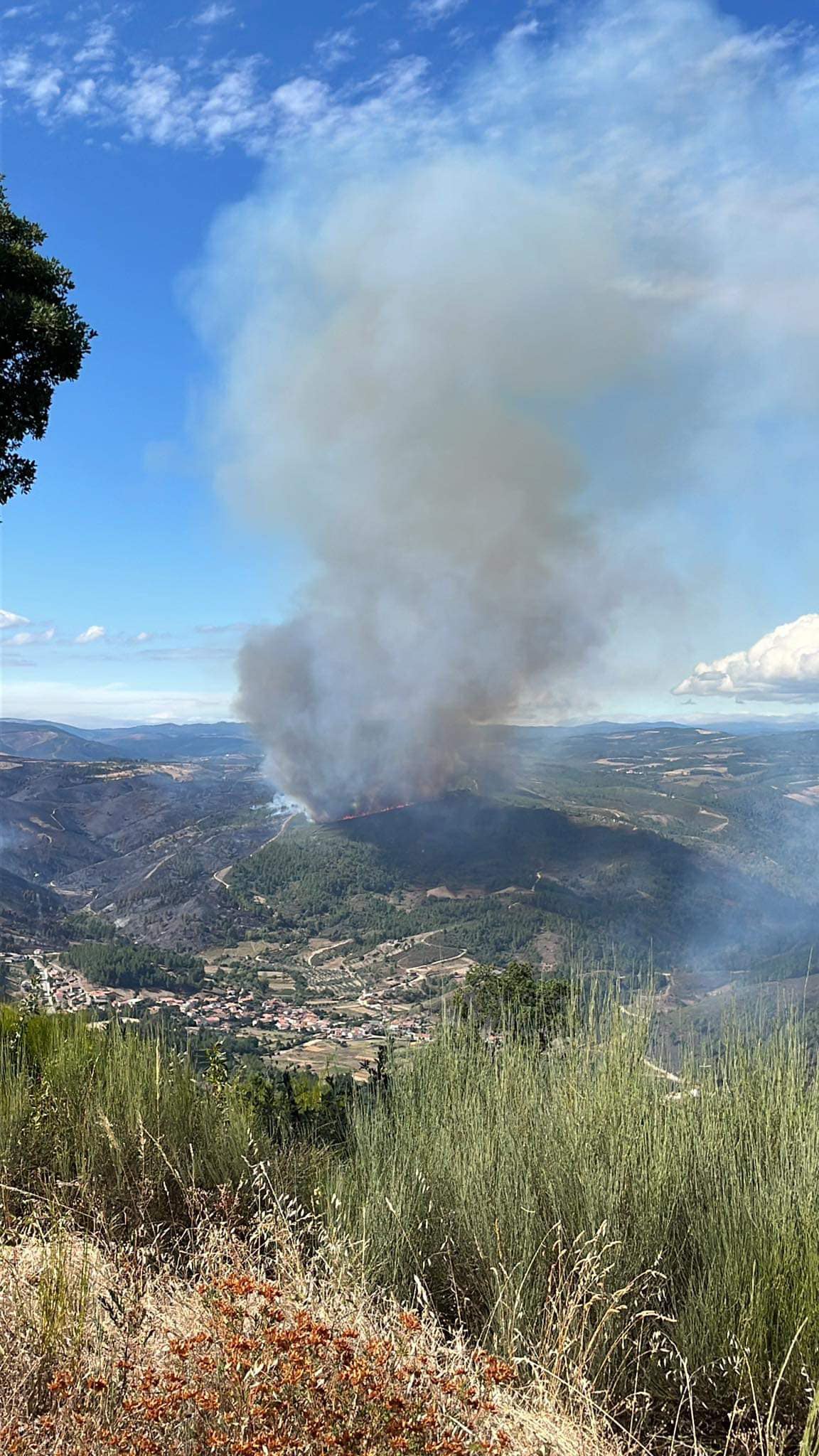 Incêndio dominado em Vinhais reacendeu
