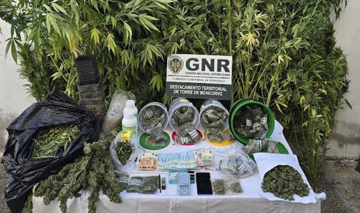 Homem detido por tráfico de droga em Alfândega da Fé