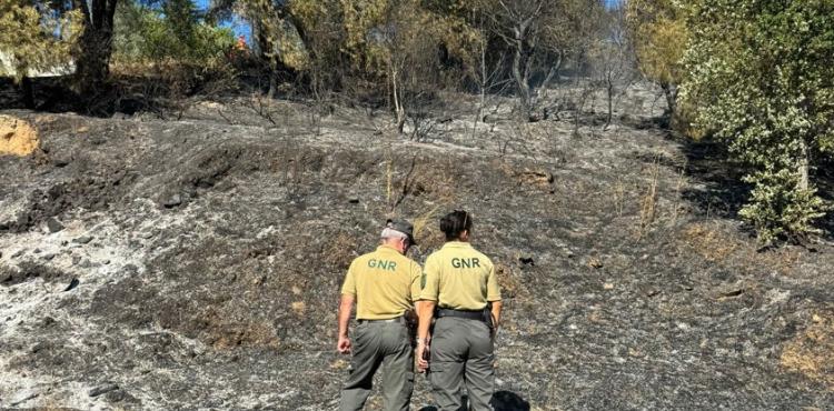 Homem constituído arguido por incêndio florestal em Sortes