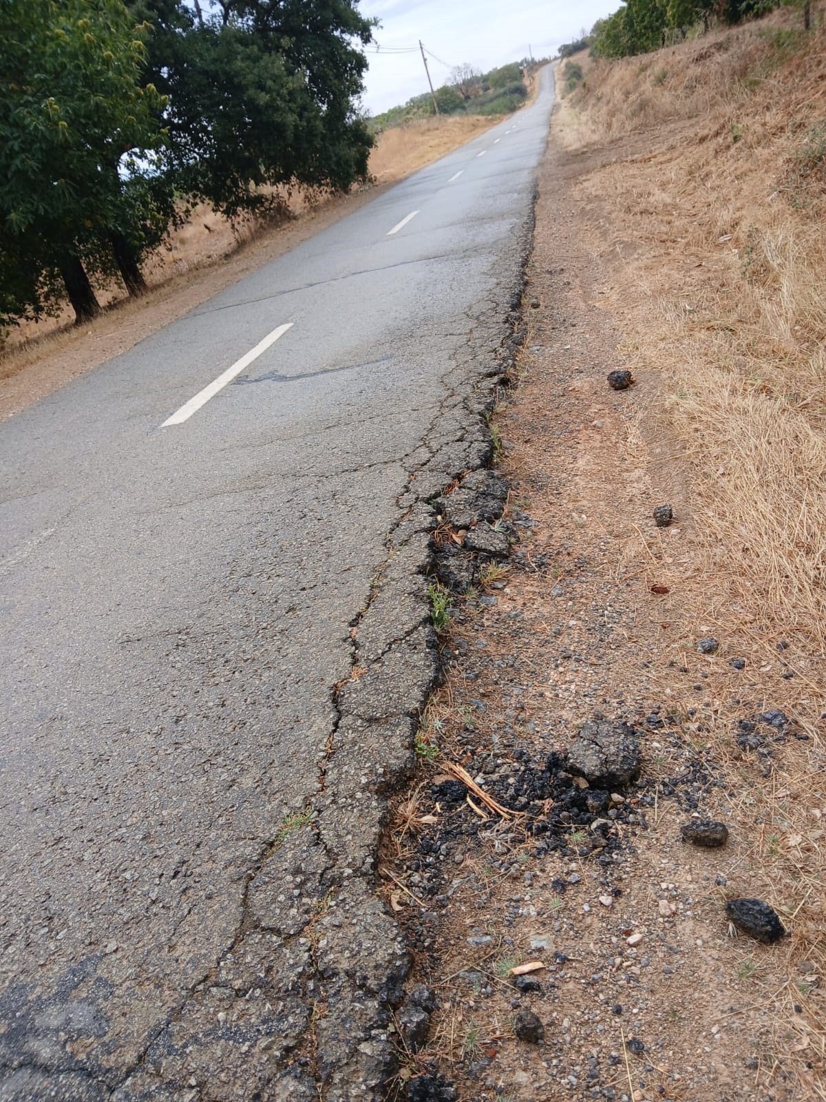 Presidente da câmara de Bragança diz que requalificação da estrada entre Paradinha Nova e Coelhoso não é prioritária