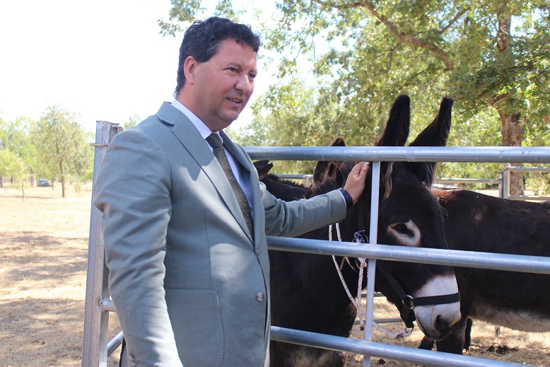 Governo quer preservar raças autóctones como Burro de Miranda e vai criar “Arca de Noé”