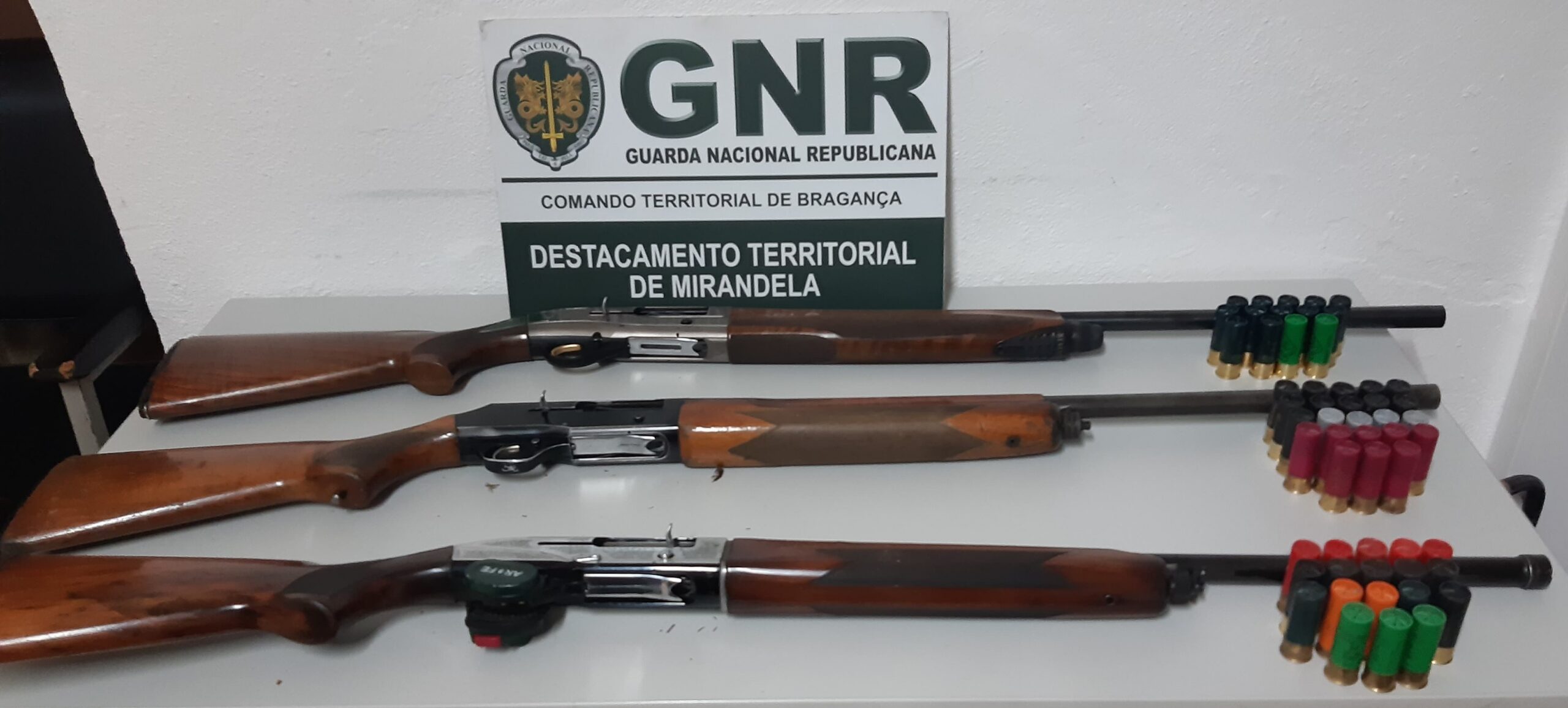 Três detidos por caça ilegal em Torre de Dona Chama