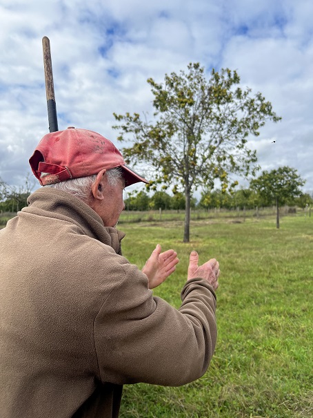 Agricultores queixam-se que seguros não cobriram prejuízos causados pelo mau tempo da semana passada