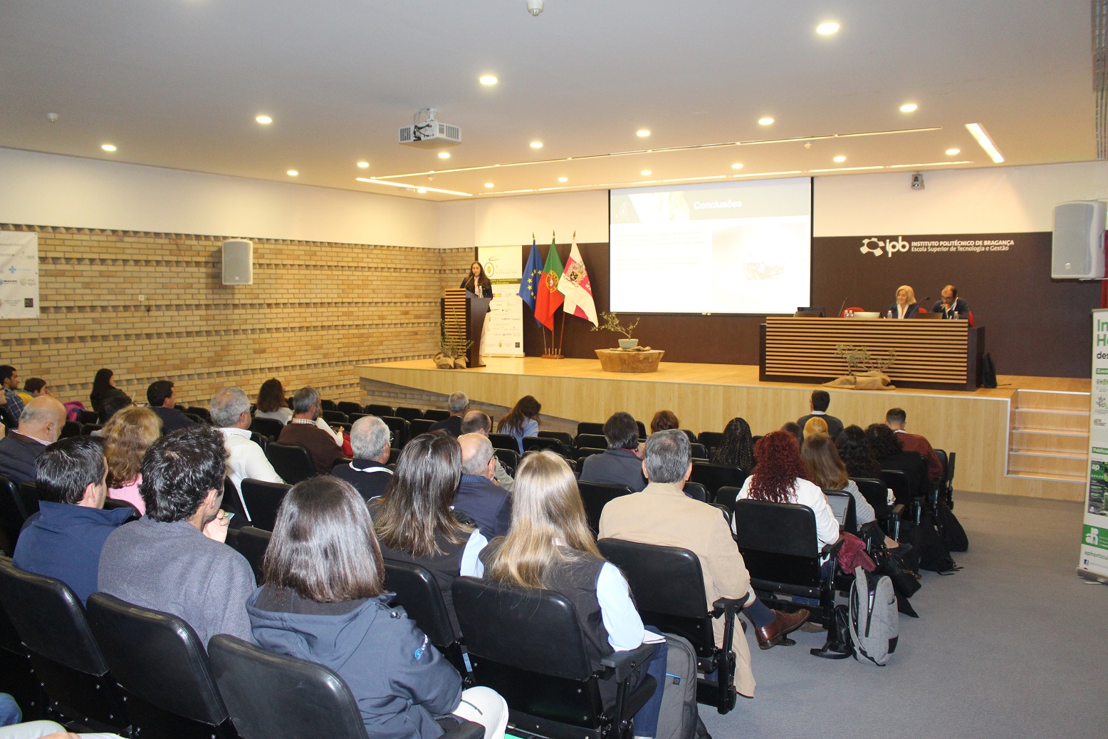 IPB com resultados promissores nos estudos das doenças da oliveira