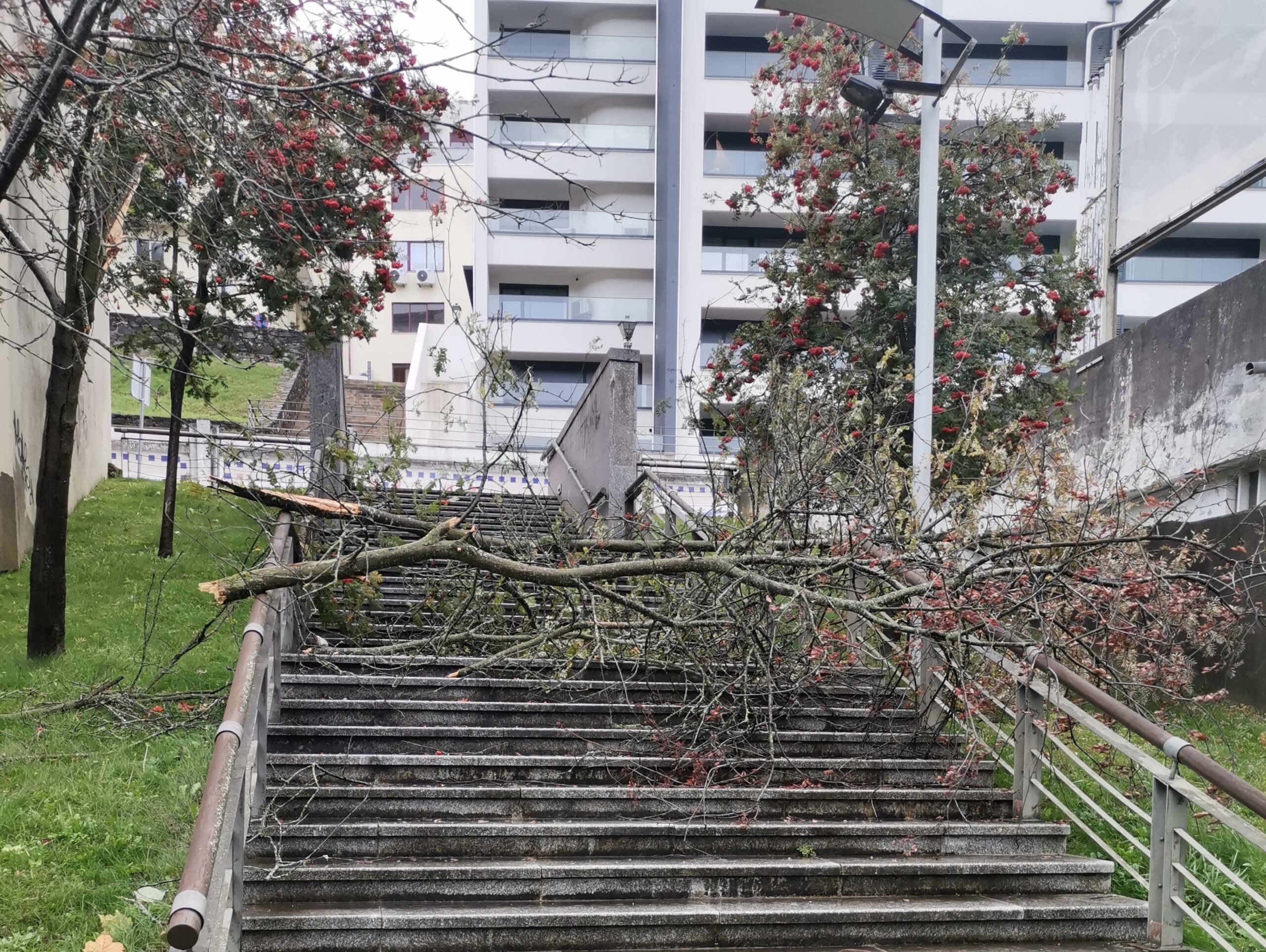 Distrito de Bragança sob aviso laranja devido ao vento