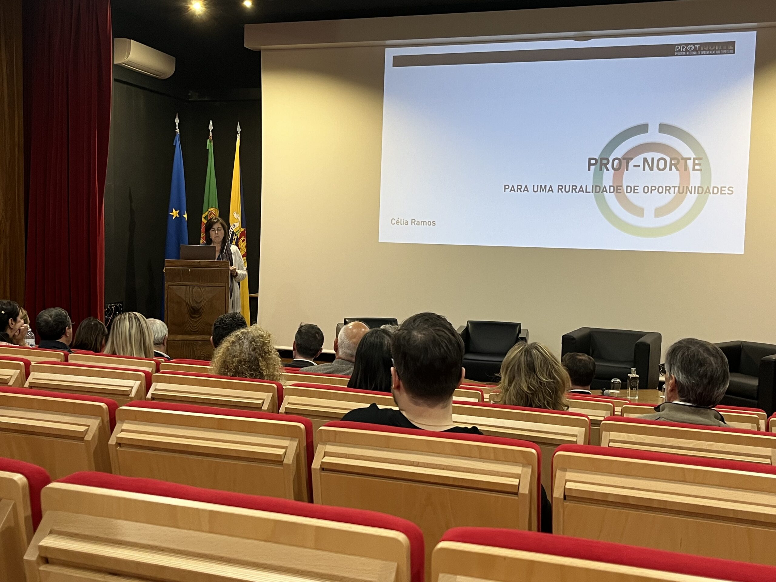 Plano de Ordenamento do Território do Norte em consulta pública: região luta por ferrovia e conversão de aeródromo em aeroporto