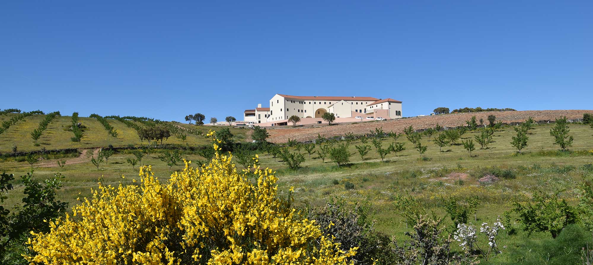 Mosteiro Trapista em Palaçoulo custou seis milhões e está finalmente inaugurado