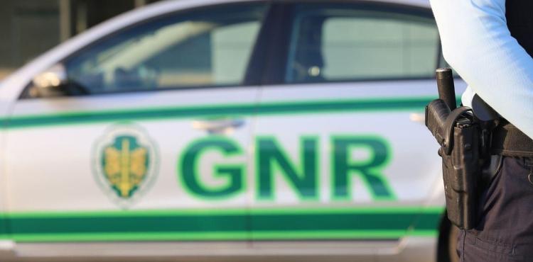 Buscas intensificadas pelo homem de 80 anos desaparecido na Serra de Montesinho, em Bragança