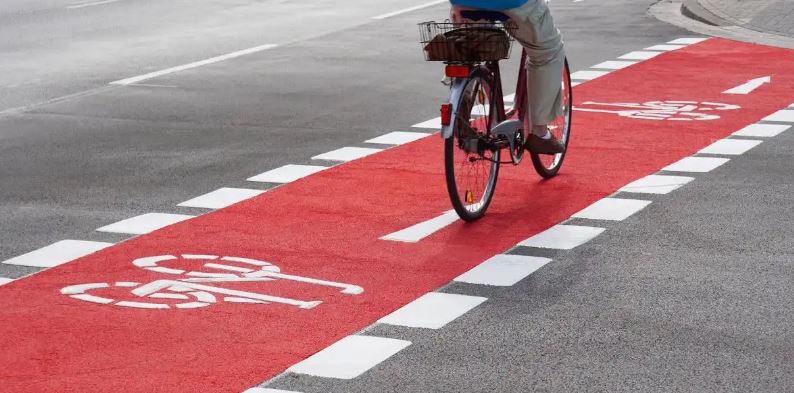 Projecto conjunto dos três agrupamentos de escolas de Bragança distinguido pela associação ambientalista Zero