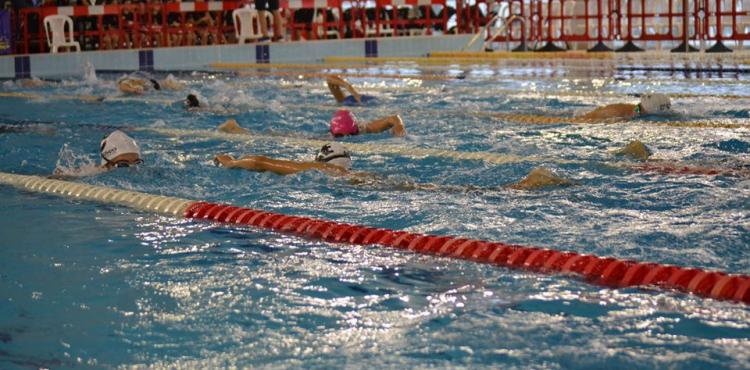 Natação: Quatro nadadores do distrito de Bragança vão competir na Taça Vale do Tejo