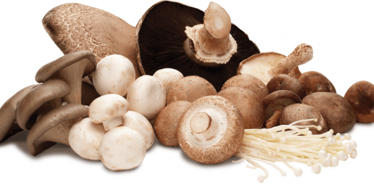 Cuga diz que denúncias do SINTAB são “completamente incompreensíveis”