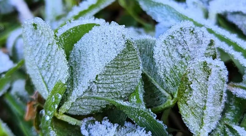 Distrito de Bragança em aviso amarelo por causa do frio
