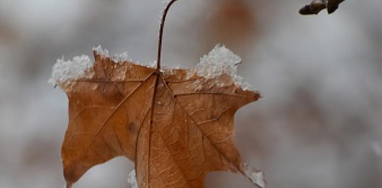 Bragança escapa ao aviso amarelo e regista temperaturas positivas mas frio continua