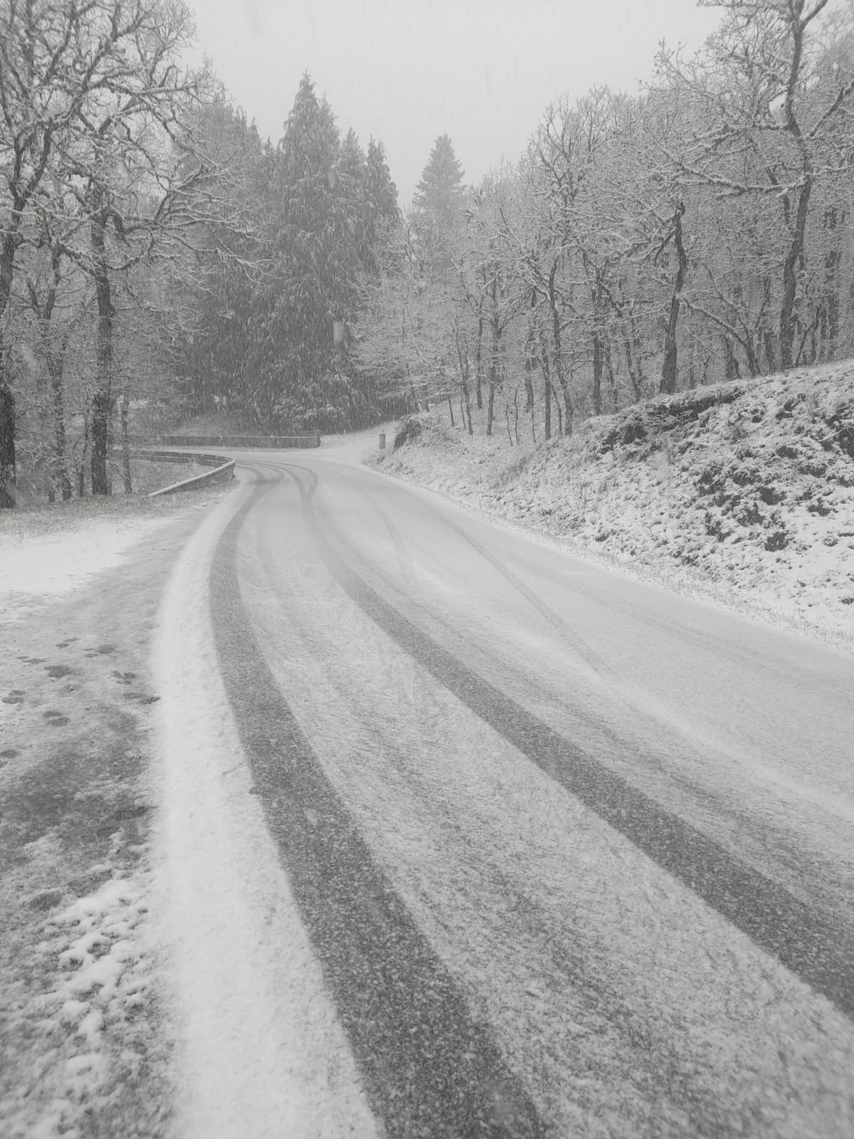 Previsão de queda de neve deixa distrito sob aviso amarelo