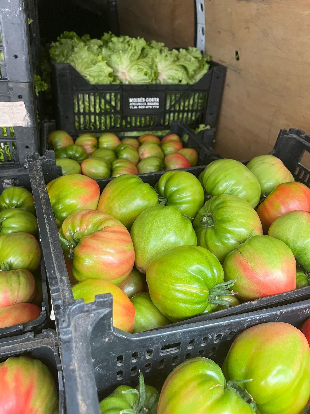 Agricultores da região indignados com indicação técnica do Governo sobre cortes na horticultura