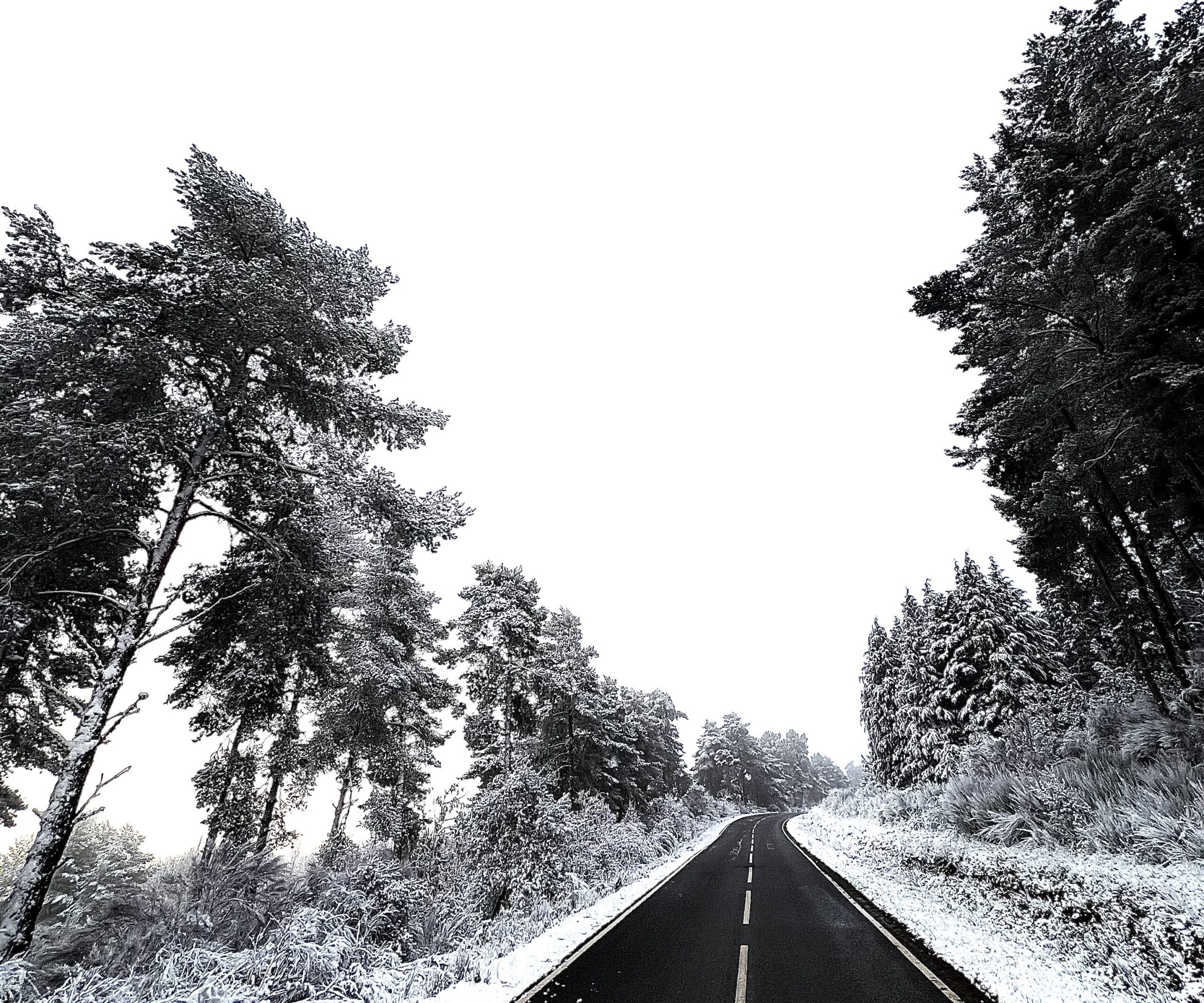 Distrito de Bragança sob aviso amarelo devido às previsões de queda de neve