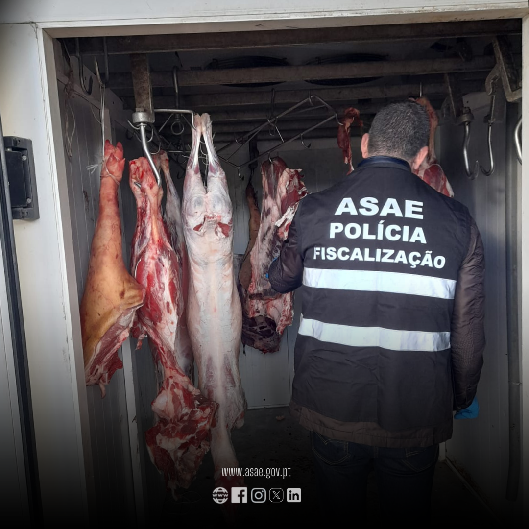 ASAE desmantela local de abate de animais ilícito em Bragança