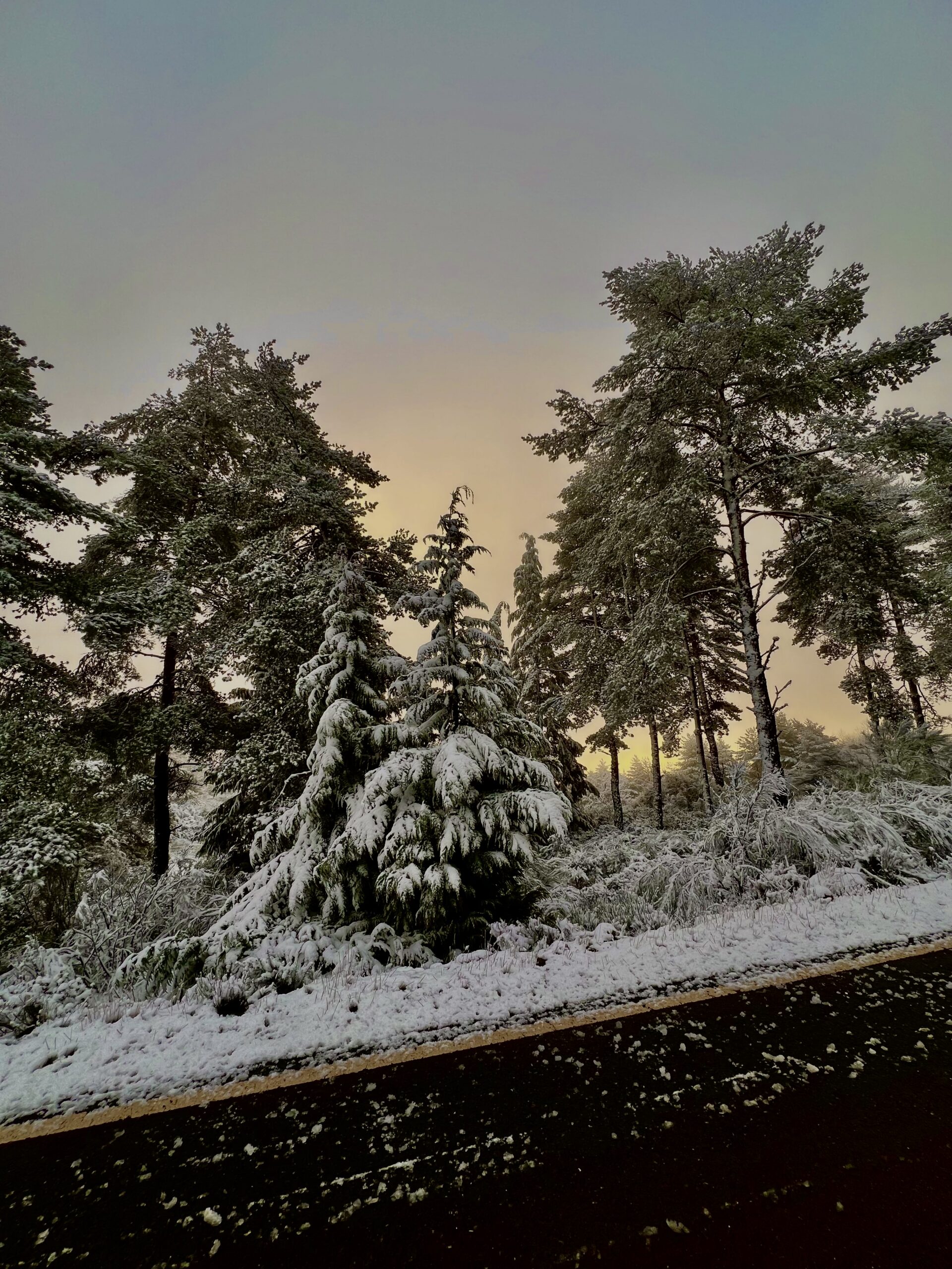 Previsão de queda de neve deixa distrito sob aviso amarelo a partir da meia noite