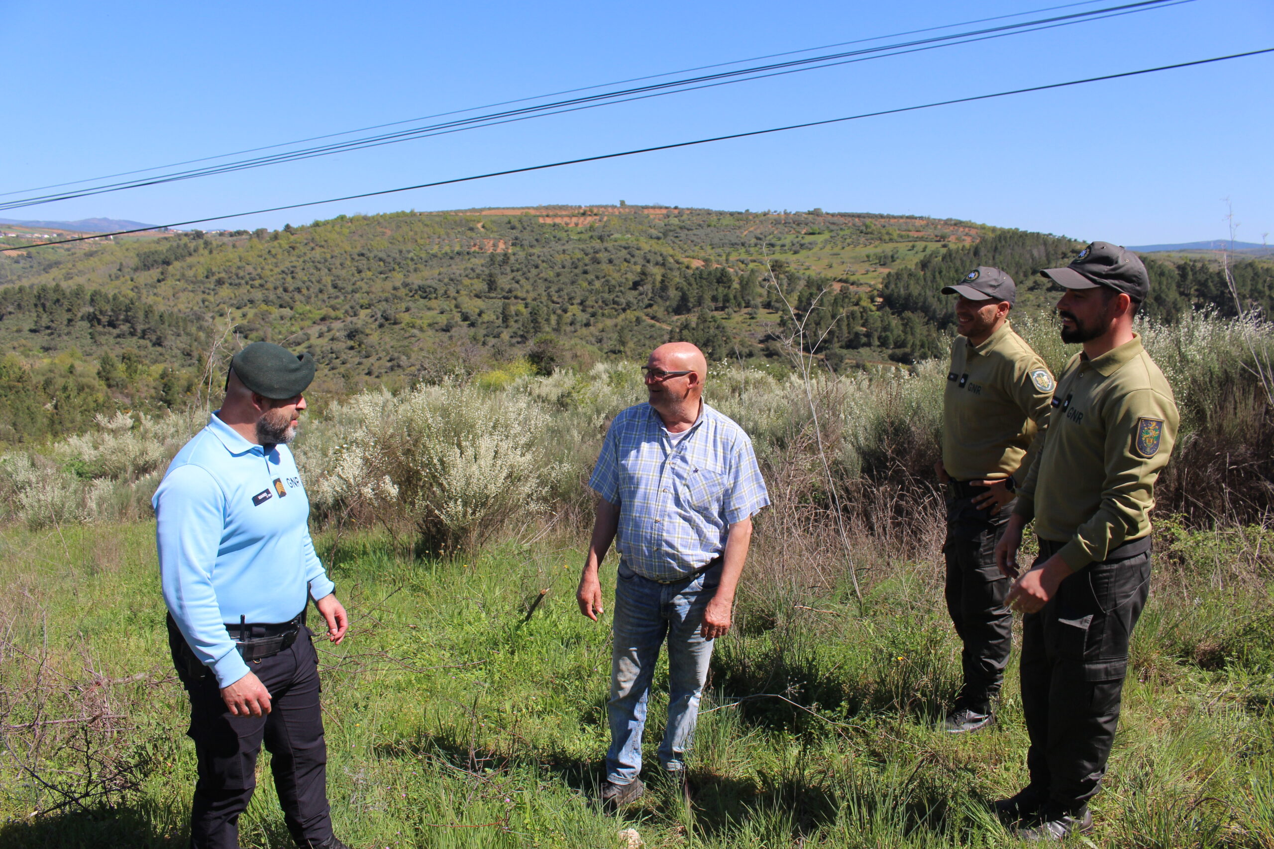 Prazo para limpeza dos terrenos foi alargado até 31 de maio e GNR está a sensibilizar proprietários