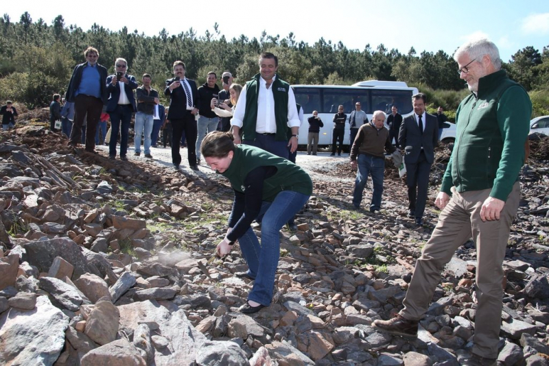 Governo retira concessão das minas de ferro de Torre de Moncorvo à Aethel Mining