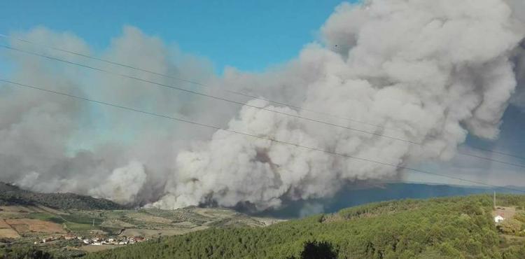 Combate a incêndios: PJ faz buscas na Força Área e em empresas de helicópteros por suspeitas de corrupção