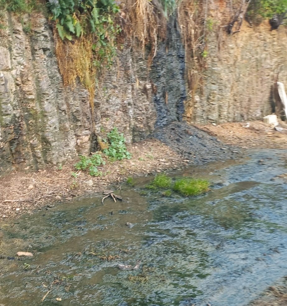 Esgotos a correr a céu aberto em Vale da Sancha (Mirandela)