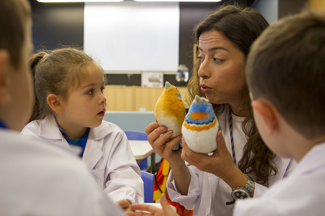 14 agrupamentos escolares ligados ao Centro Ciência Viva partilham aprendizagens em Bragança